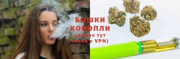 крисы Горно-Алтайск