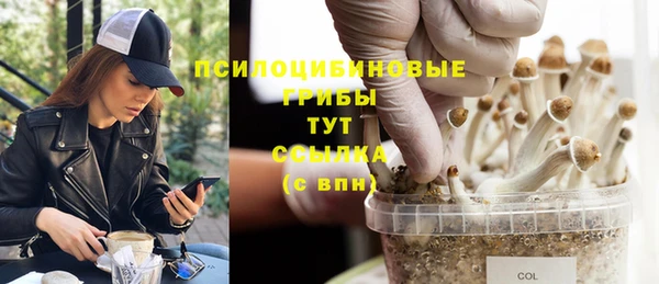 СК Горняк