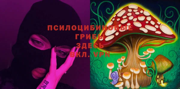 крисы Горно-Алтайск