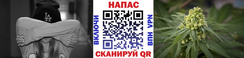 Шишки марихуана White Widow  Северская 